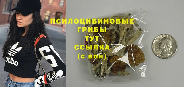 твердый Гусь-Хрустальный