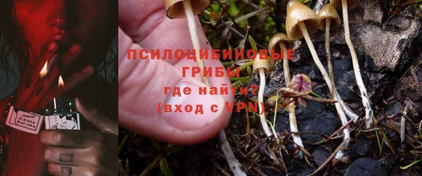 твердый Гусь-Хрустальный