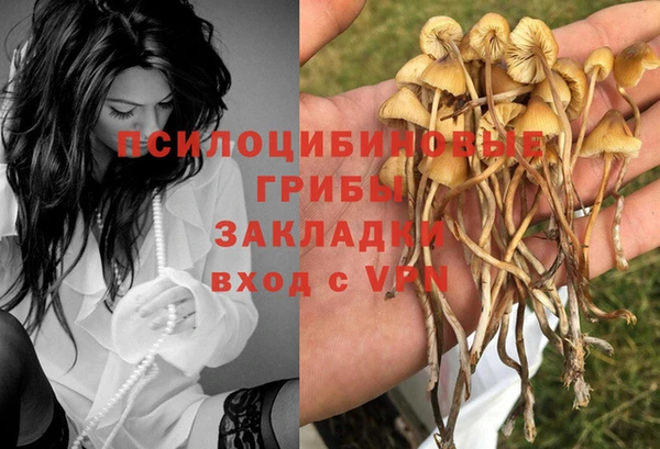 бошки Гусиноозёрск