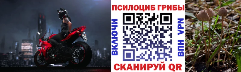 Псилоцибиновые грибы Magic Shrooms  цена наркотик  Сельцо 